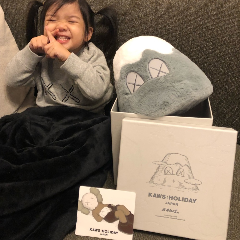 KAWS Holiday Japan Mt Fuji Plush grey 100% Authentic